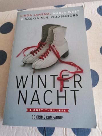 Winternacht van Linda Jansma beschikbaar voor biedingen