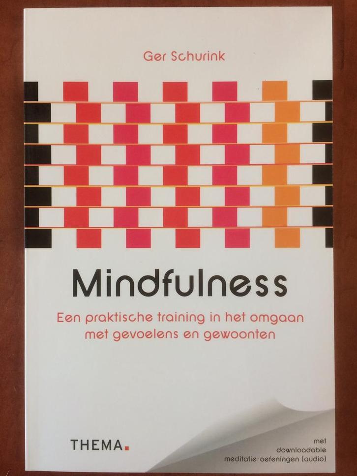 Ger Schurink - Mindfulness, Boeken, Esoterie en Spiritualiteit, Nieuw, Instructieboek, Overige onderwerpen, Ophalen of Verzenden