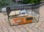 Complete Starterset voor Hamster / Muis / Gerbil –, Minder dan 60 cm, Kooi, Minder dan 75 cm, Ophalen of Verzenden