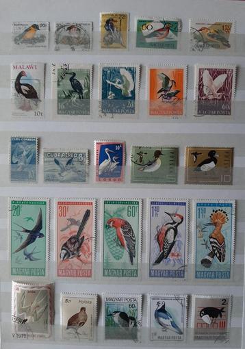 3 Kaarten Mooiste vogels Nr. 1 Gestempeld beschikbaar voor biedingen