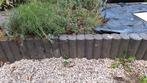 Palissade rondoband antraciet borders, Tuin en Terras, Ophalen, Gebruikt, Beton, Minder dan 100 cm