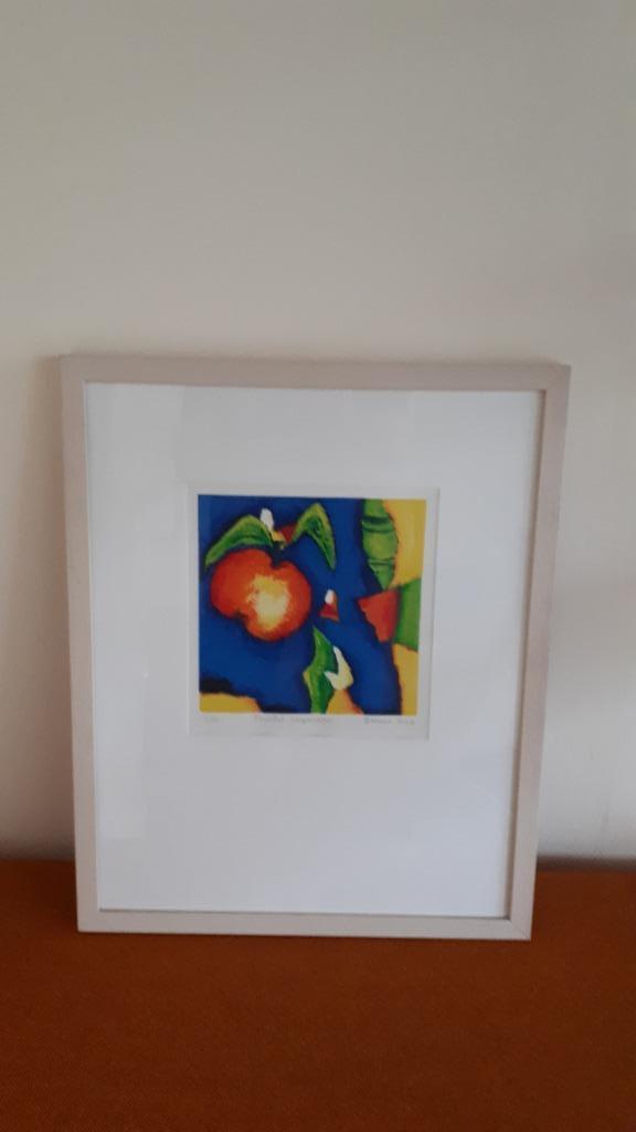 3 Zeefdrukken van Saskia Bremer, Antiek en Kunst, Kunst | Litho's en Zeefdrukken, Ophalen of Verzenden