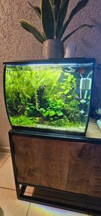 FLUVAL Aquarium Flex LED zwart 57 L, 41x39x39 cm, Dieren en Toebehoren, Vissen | Aquaria en Toebehoren, Ophalen, Zo goed als nieuw