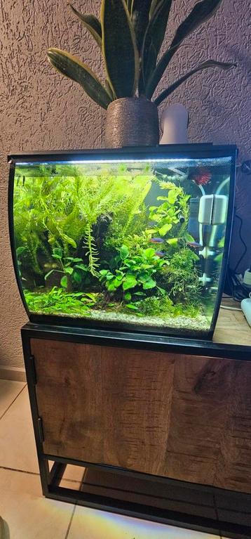 MOET WEG !FLUVAL Aquarium Flex LED zwart 57 L, 41x39x39 cm

 beschikbaar voor biedingen