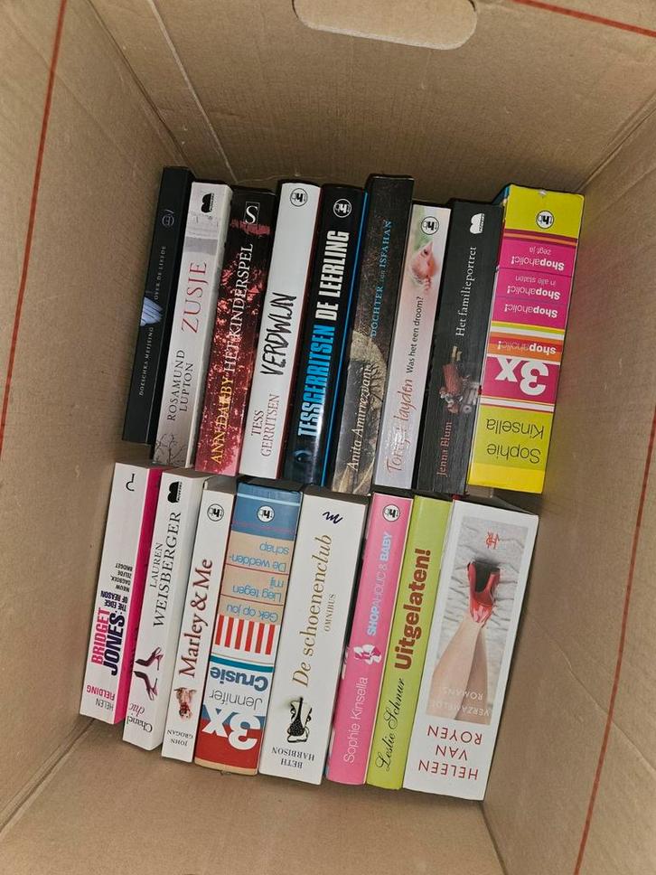 Bijna 50 leesboeken, Boeken, Partijen en Verzamelingen, Zo goed als nieuw, Ophalen