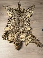 Echte Panter, Huis en Inrichting, Ophalen of Verzenden, Zo goed als nieuw, Rond, 50 tot 100 cm