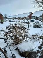 Tijdelijke woonruimte gezocht .Zie omschrijving