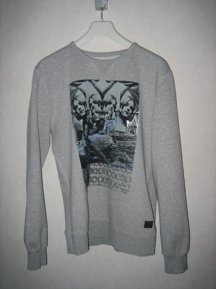 fijne lichtgrijze sweater heren van Quicksilver maat L, Kleding | Heren, Truien en Vesten, Gedragen, Maat 52/54 (L), Grijs, Ophalen of Verzenden