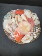 Mand vol mooie schelpen, Ophalen of Verzenden