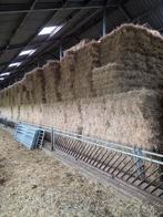 Hooi/ stro en kuilvoer, Dieren en Toebehoren, Ophalen, Vee