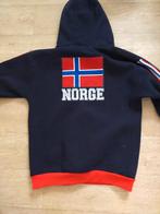 Sweater  waynor  NOORS maat medium IZGS., Ophalen of Verzenden, Gedragen, Maat 48/50 (M)