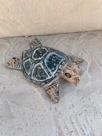 Nieuw houten schildpad groot, Ophalen of Verzenden, Nieuw