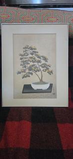 Uchido Nisaburo Houtsnede - Bonsai, 1960, Ophalen of Verzenden