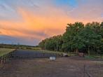 Stalling voor 1 paard beschikbaar., Dieren en Toebehoren, Stalling en Weidegang, Stalling