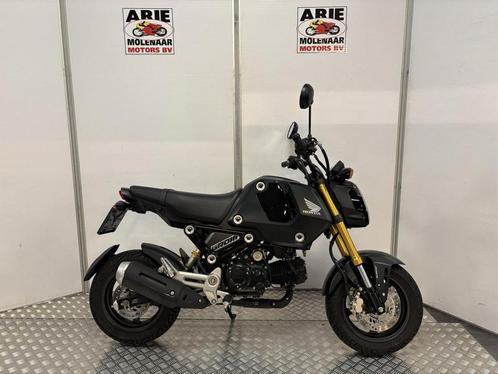 Honda MSX 125 ABS (bj 2023), Motoren, Motoren | Honda, Bedrijf, Naked bike, 11 kW of minder, Minimaal motorrijbewijs A1