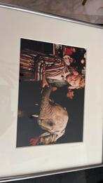Andre van Duin met olifant foto, Antiek en Kunst, Kunst | Litho's en Zeefdrukken, Ophalen of Verzenden