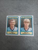 Panini sticker Voetbal 84. Peitsman/Rosendaal De Graafschap., Verzenden, Zo goed als nieuw, Sticker