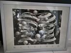 Bond of Union - M.C.Escher 55  x 75 cm in aluminium lijst, Ophalen of Verzenden