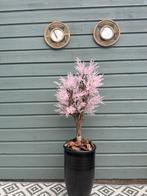 Nieuw handmade kunstboom met roze bloemetjes, Ophalen, Nieuw, Binnen