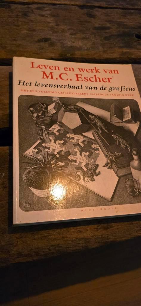 M.C. Escher Boek - Leven en Werk, Boeken, Kunst en Cultuur | Beeldend, Ophalen of Verzenden