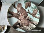 Porseleinen bord 'Pine Martens' - The Forest Year Collectie, Ophalen of Verzenden