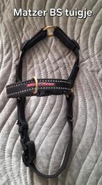 Honden halsband en riempjes, Ophalen, Zo goed als nieuw, Hondenriem