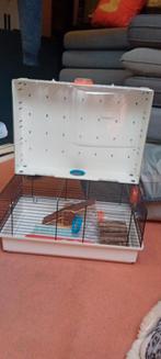 Hamsterkooi, Dieren en Toebehoren, Ophalen, Minder dan 75 cm, Kooi, Minder dan 60 cm