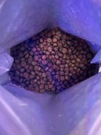 Hondenbrokken/snoep en natvoer, Dieren en Toebehoren, Dierenvoeding, Ophalen, Hond