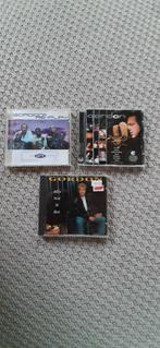 Stapel dvd's en cd's . Borsato, meeuwis, hazes, Gordon, blof, Ophalen of Verzenden