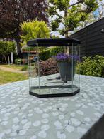 Mooi & compleet aquarium voor de beginner, Ophalen, Zo goed als nieuw, Leeg aquarium