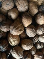 Vers gedroogde walnoten 2025, Diversen, Levensmiddelen, Ophalen