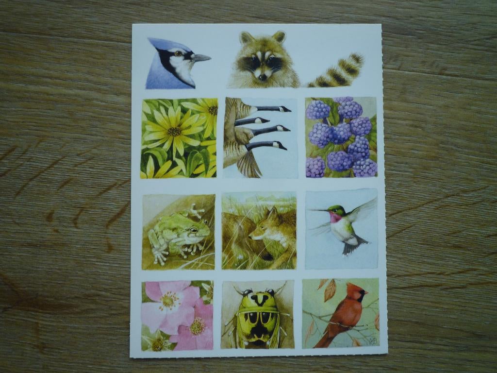 Vossen gans ganzen wasbeer vogels bloemen Marjolein Bastin, Ophalen of Verzenden, Voor 1920, Overige thema's