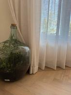 Indoor terrarium mature, Ophalen of Verzenden, Zo goed als nieuw, Rond, Minder dan 25 cm