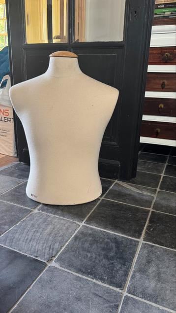 Heren torso boven lichaam beschikbaar voor biedingen