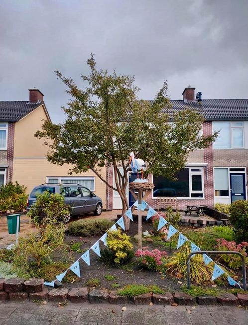 Te huur ooievaarsnest, Kinderen en Baby's, Kraamcadeaus en Geboorteborden, Nieuw, Ophalen