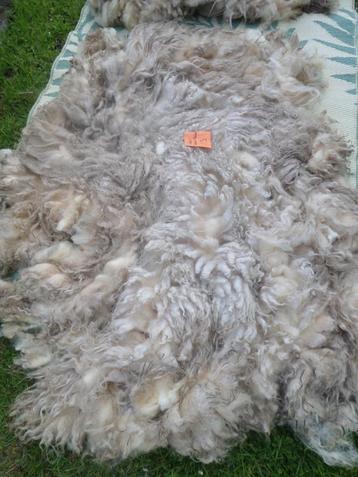 Schapenwol On-Gewassen Vul-wol Spinwol-Viltwol Spinnewielen  beschikbaar voor biedingen