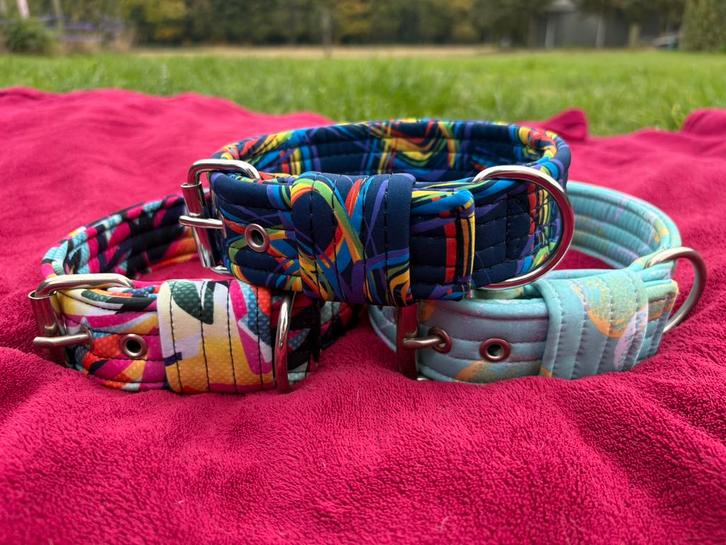 3 nieuwe softshell FG DogGear honden halsbanden, 4x55cm, Dieren en Toebehoren, Hondenhalsbanden en Penningen, Nieuw, Handgemaakt