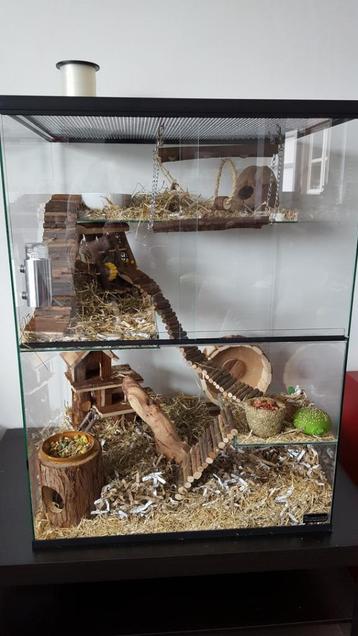 Terrarium voor Degoes, Gerbils, ratten, muizen - Gerbilarium beschikbaar voor biedingen