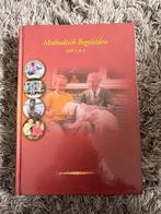 Methodisch begeleiden, Boeken, Ophalen, Zo goed als nieuw, MBO, Angerenstein