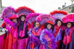 Loopgroep carnaval ‘Laat maar waaien’, Kleding | Dames, Carnavalskleding en Feestkleding, Carnaval, Zo goed als nieuw, Ophalen