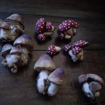 Oude set watten paddenstoelen  beschikbaar voor biedingen