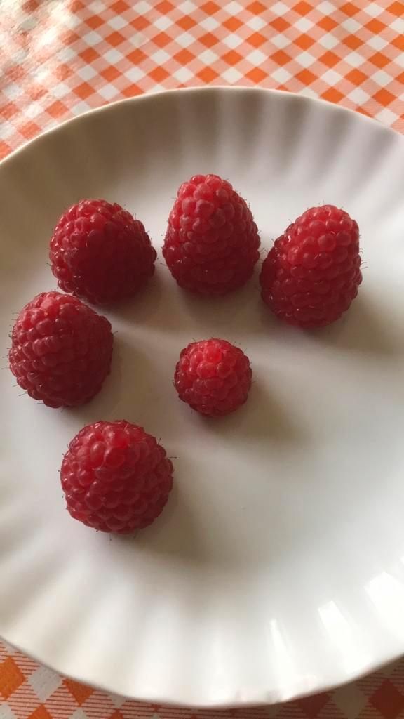 Frambozen planten van de sugana, Tuin en Terras, Planten | Struiken en Hagen, Overige soorten, Minder dan 100 cm, Ophalen of Verzenden