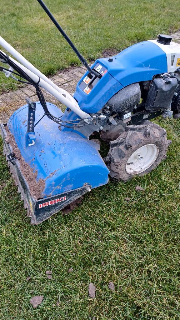 tuinfrees, Tuin en Terras, Hand-tuingereedschap, Gebruikt, Overige soorten, Ophalen