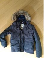 Tommy Hilfiger Denim dames winterjas L, Kleding | Dames, Jassen | Winter, Blauw, Maat 42/44 (L), Ophalen of Verzenden, Zo goed als nieuw