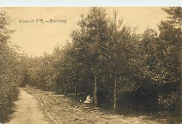 (387-183-041) Epe Boschweg beschikbaar voor biedingen