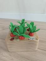 Montessori Wortel Sorteerspel - Houten Speelgoed, Kinderen en Baby's, Ophalen, Zo goed als nieuw, Overige typen