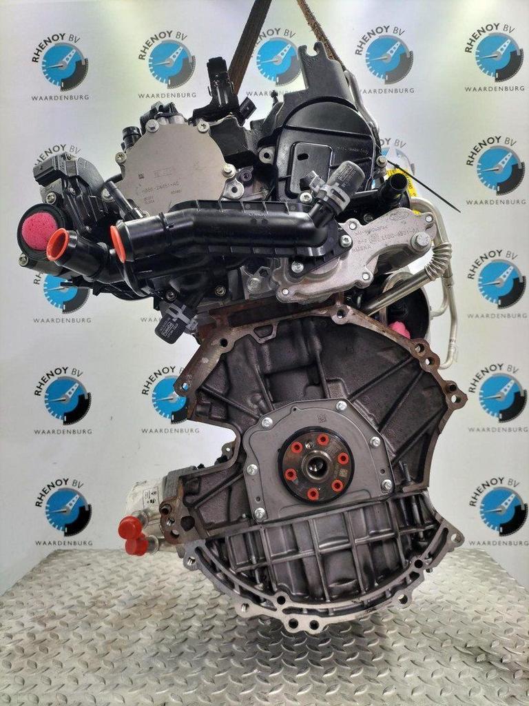 FORD PUMA MOTOR 2021, Auto-onderdelen, Motor en Toebehoren, Ophalen of Verzenden, Gebruikt, Stiba lid