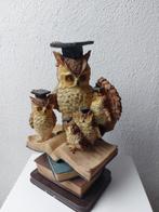 beeld uil op boek, Ophalen of Verzenden, Zo goed als nieuw, Overige typen