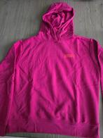 Hoodie Amy & Ivy The Sting, Kleding | Dames, Ophalen of Verzenden, Zo goed als nieuw, Overige typen