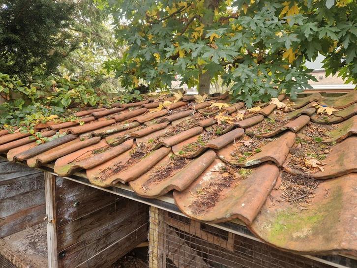 Gebruikte Oude Dakpannen, Doe-het-zelf en Verbouw, Dakpannen en Dakbedekking, Gebruikt, Dakpannen, Steen of Klei, Rood, Minder dan 5 m²